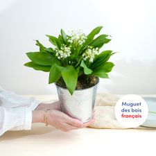 Bouquet de fleurs Muguet des bois