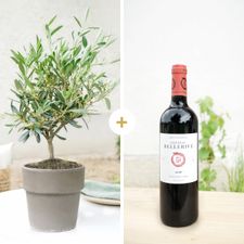 Fleurs et cadeaux Olivier et son vin rouge