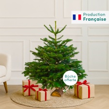 Plantes vertes et fleuries Sapin 100-125 cm Nordmann