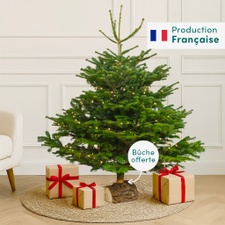 Plantes vertes et fleuries Sapin 150-175 cm Nordmann