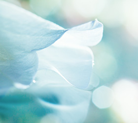 Idées de messages de condoléances