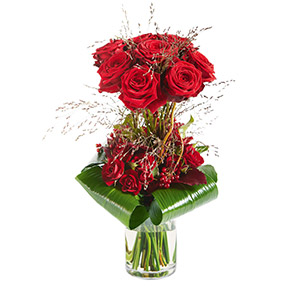 Bouquet de roses Audace Bouquet de roses Audace