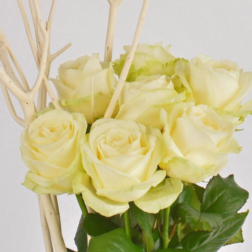 Bouquet de roses Colombe