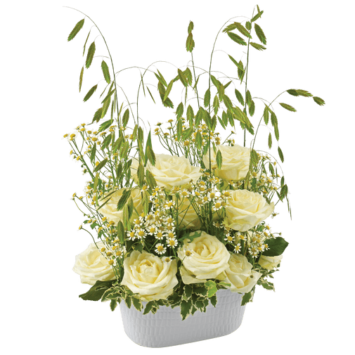 Bouquet de roses Nid d'ange