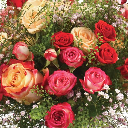 Bouquet de roses Rose cerise