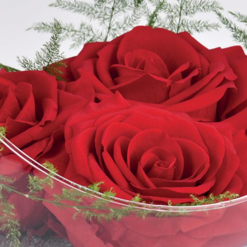 Bouquet de roses Rouge éternel