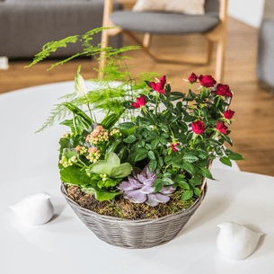 Bouquet de fleurs Bois joli Bouquet de fleurs Bois joli