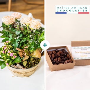 Plantes vertes et fleuries Coin de paradis et ses amandes au chocolat Plantes vertes et fleuries Coin de paradis et ses amandes au chocolat Fête du chocolat