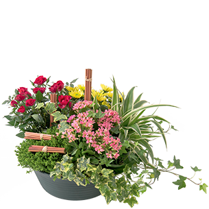 Fleurs deuil Orée Fleurs deuil Orée Toussaint