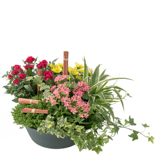 Fleurs deuil Orée Fleurs deuil Orée Toussaint