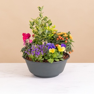 Fleurs deuil Eclat de tendresse Fleurs deuil Eclat de tendresse Toutes nos compositions de fleurs pour le deuil