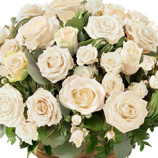 Fleurs deuil Rosae blanc