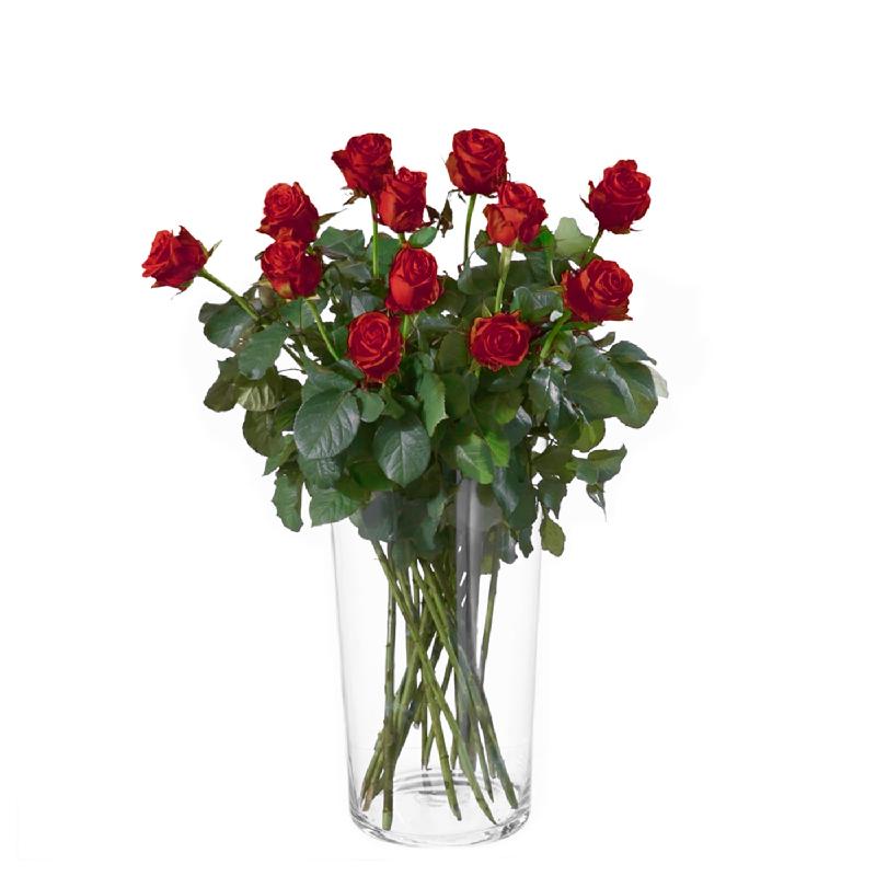 Bouquet de fleurs 12 red roses