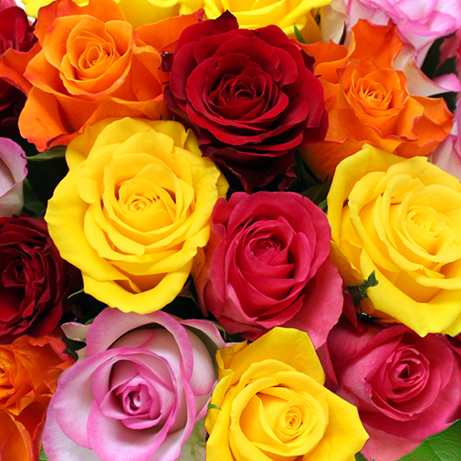 Fleurs et cadeaux Brassée de 20 roses et son écrin FAUCHON