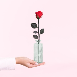 Fleurs et cadeaux Rose éternelle et son soliflore Fleurs et cadeaux Rose éternelle et son soliflore