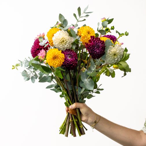Bouquet de fleurs Brassée de Dahlias