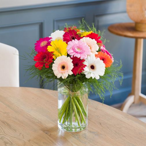 Bouquet de fleurs Brassée de germinis multicolores