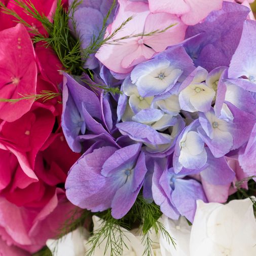 Bouquet de fleurs Brassée d'Hortensias