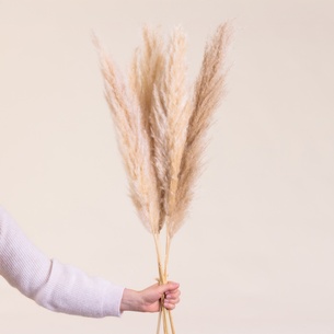 null Moonlight Pampa null Moonlight Pampa Bouquets de mariage bohême