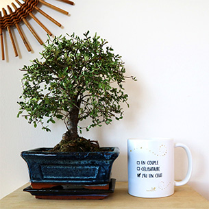 Bonsai et son mug offert Bouquet de fleurs Bonsai et son mug offert