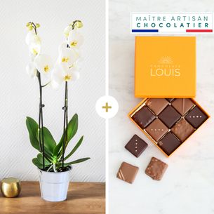 Fleurs et cadeaux Orchidée et ses chocolats