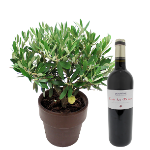 Bouquet de fleurs Olivier et son vin St Emilion Dourthe Bouquet de fleurs Olivier et son vin St Emilion Dourthe