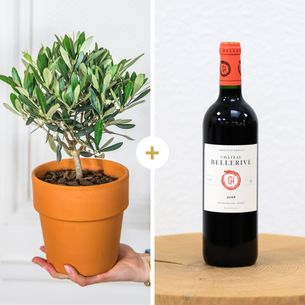 Bouquet de fleurs Olivier et son Bordeaux Château Bellerive 2018 Bouquet de fleurs Olivier et son Bordeaux Château Bellerive 2018