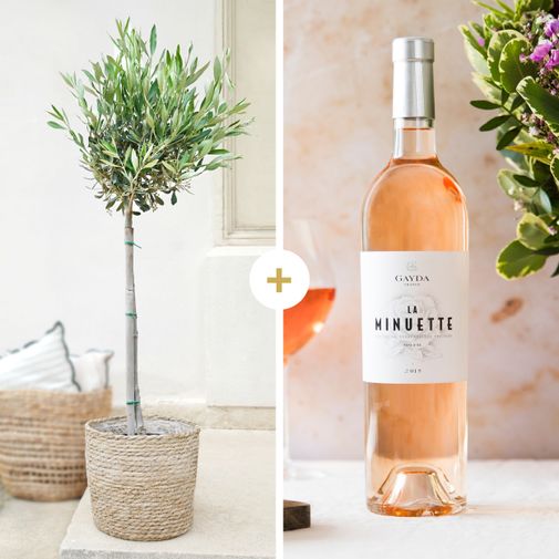 Fleurs et cadeaux Olivier tige et son vin rosé "La Minuette"