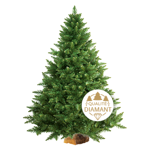 Plantes vertes et fleuries Sapin Nordmann 100 - 125 cm Plantes vertes et fleuries Sapin Nordmann 100 - 125 cm