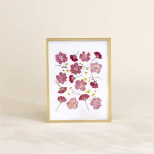 null Herbier de fleurs séchées null Herbier de fleurs séchées
