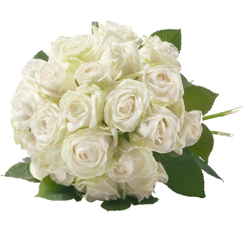 Bouquet de fleurs Pearl of Roses in White Bouquet de fleurs Pearl of Roses in White