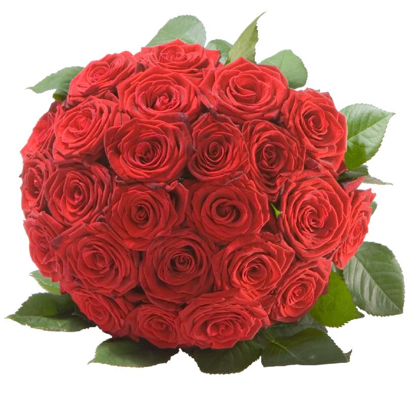 Bouquet de fleurs Pearl of Roses in Red
