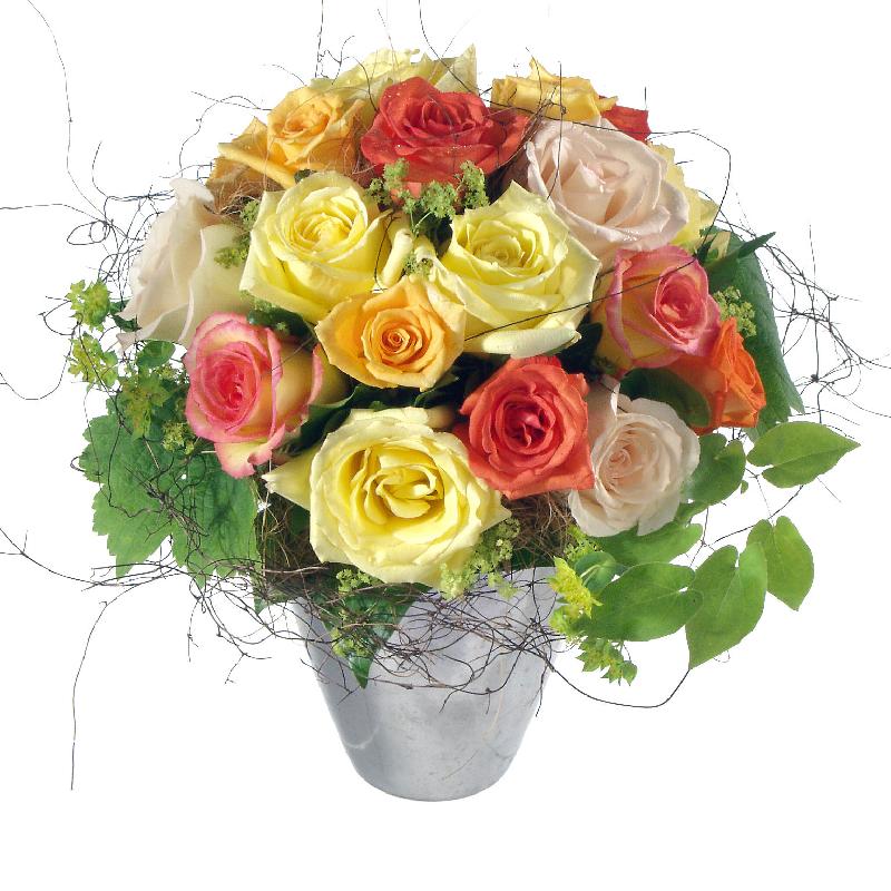 Bouquet de fleurs Cordial Rose Greeting