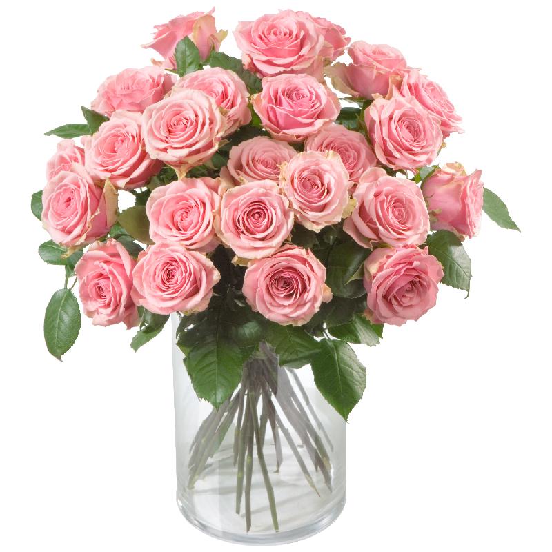 Bouquet de fleurs 24 Pink Roses