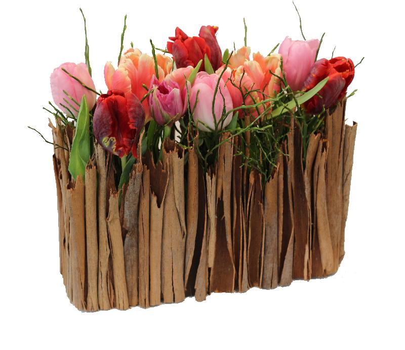 Bouquet de fleurs Stylish Miniature Tulip Garden