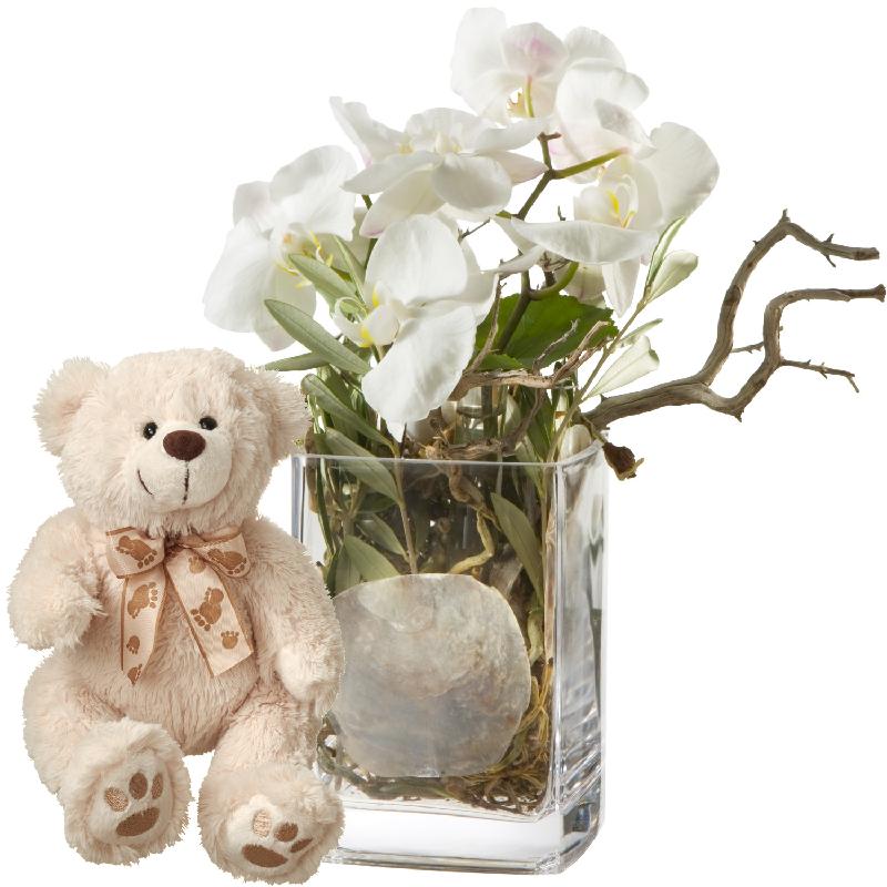 Bouquet de fleurs Mystical Orchids (including vase) with teddy bear (white)