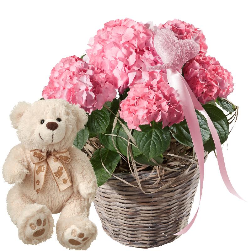 Bouquet de fleurs Hydrangea (pink) with Heart and teddy bear (white)