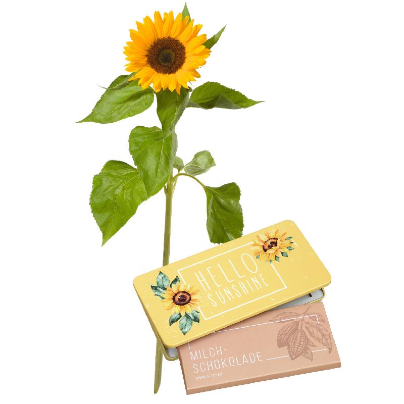 Bouquet de fleurs A Small Sun (1 sunflower) with bar of chocolate «Hello Sunsh