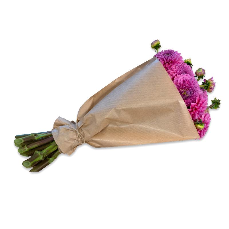 Bouquet de fleurs Bundle of deep pink Dahlias