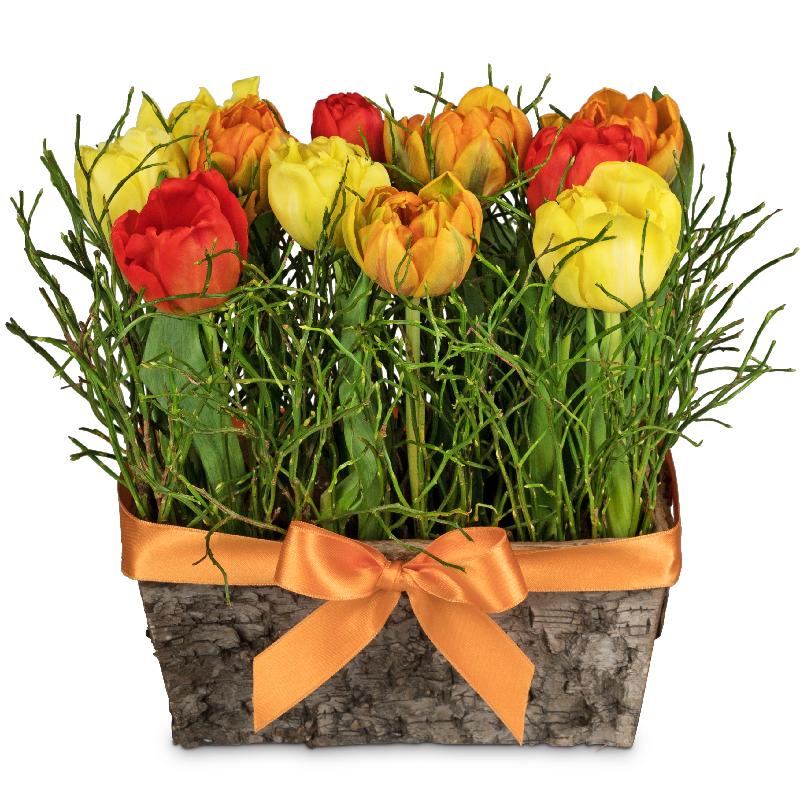 Bouquet de fleurs Happy tulip meadow
