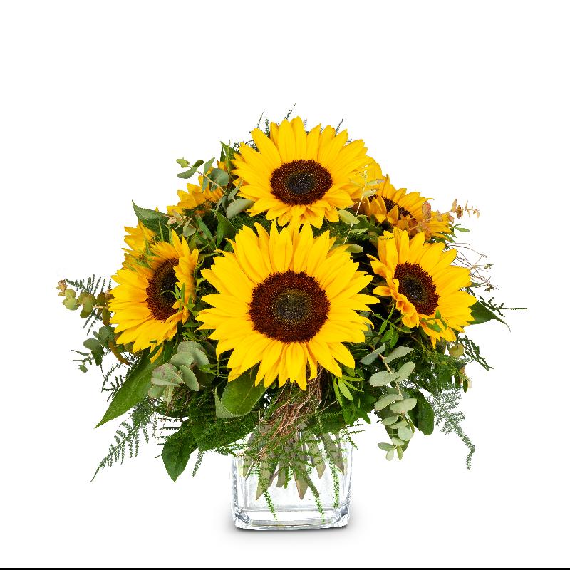 Bouquet de fleurs Sunflowers Pure