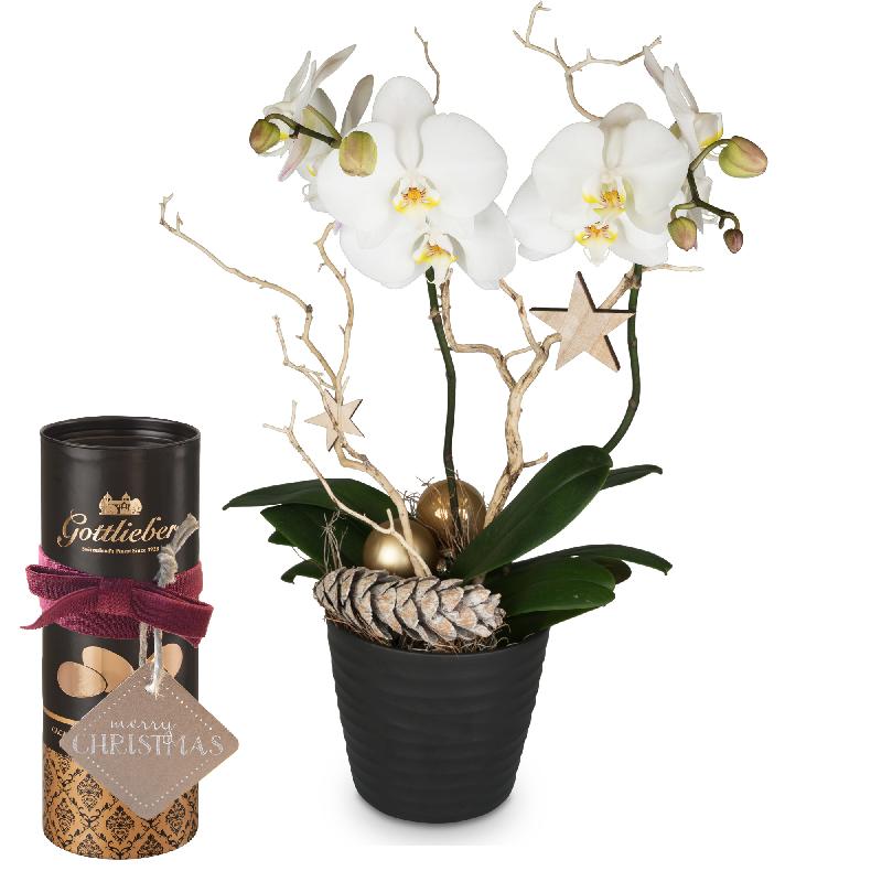 Bouquet de fleurs Festive & noble (orchid) with Gottlieber cocoa almonds and h