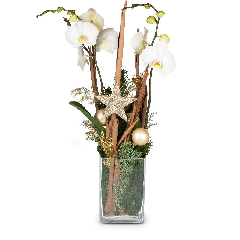Bouquet de fleurs Heavenly … (orchid in a vase)