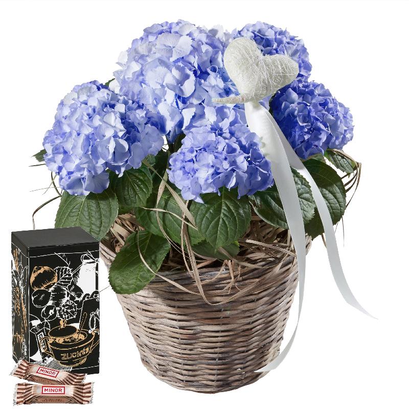 Bouquet de fleurs Hydrangea (blue) with Heart and Minor Split in trendy gift t