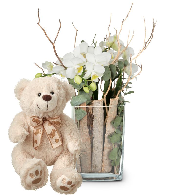 Bouquet de fleurs Lifestyle (orchid in a vase) with teddy bear (white)