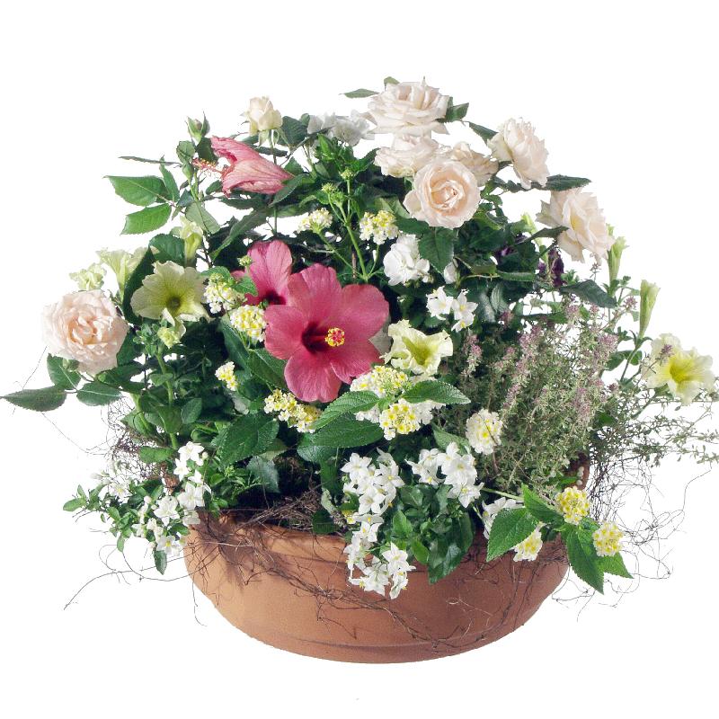 Bouquet de fleurs Always Remembered (outdoor bowl, with plants)