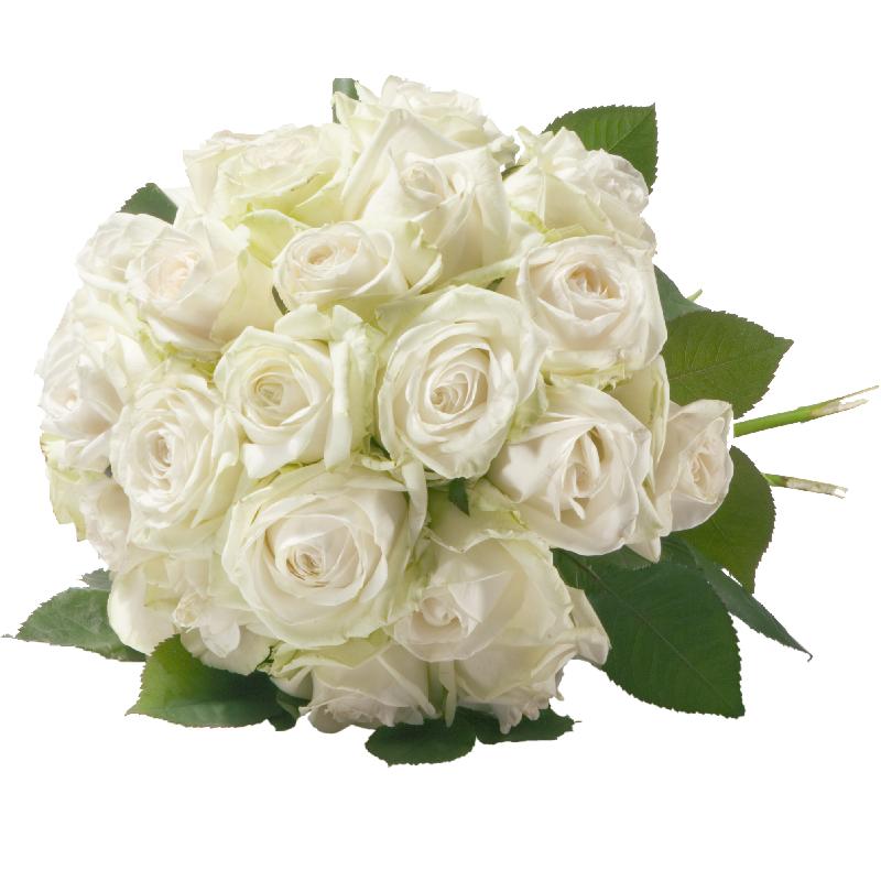 Bouquet de fleurs Pearl of Roses in White