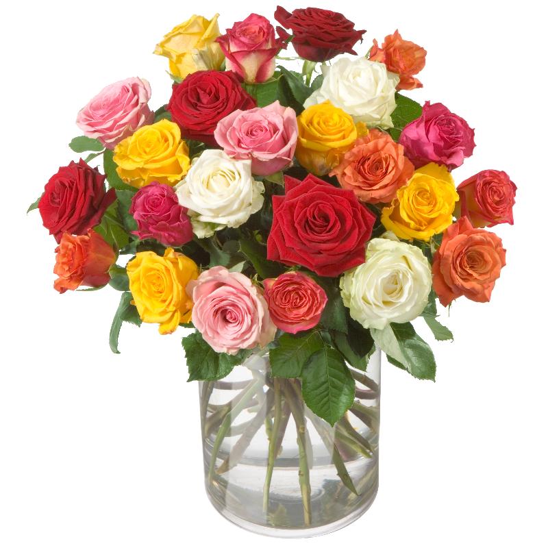 Bouquet de fleurs Colorful Bouquet of Roses (24 roses)