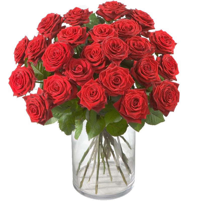 Bouquet de fleurs 24 Red Roses