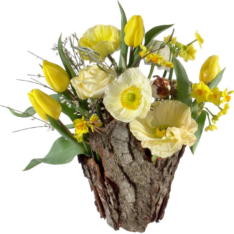 Bouquet de fleurs Natural Spring Magic (arrangement)
